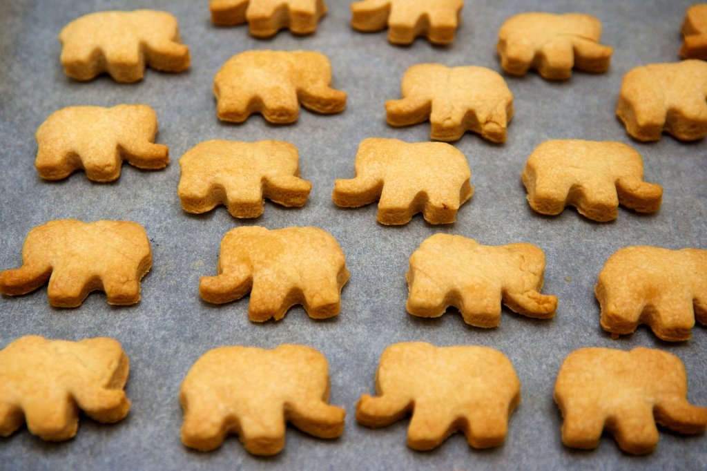 Elephant Alfajores